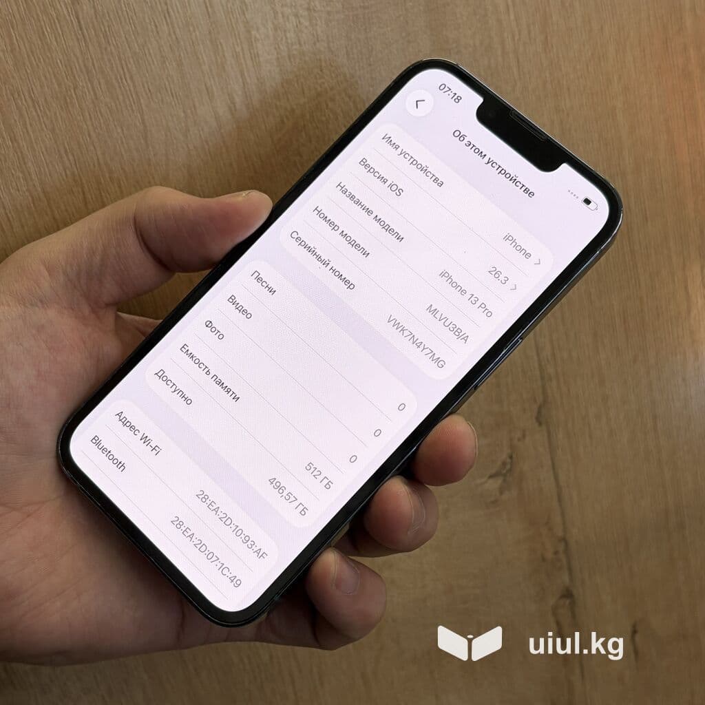 IPhone 13 Pro, Б/у, 512 ГБ, Pacific Blue, Чехол, 94 % 6 из 10