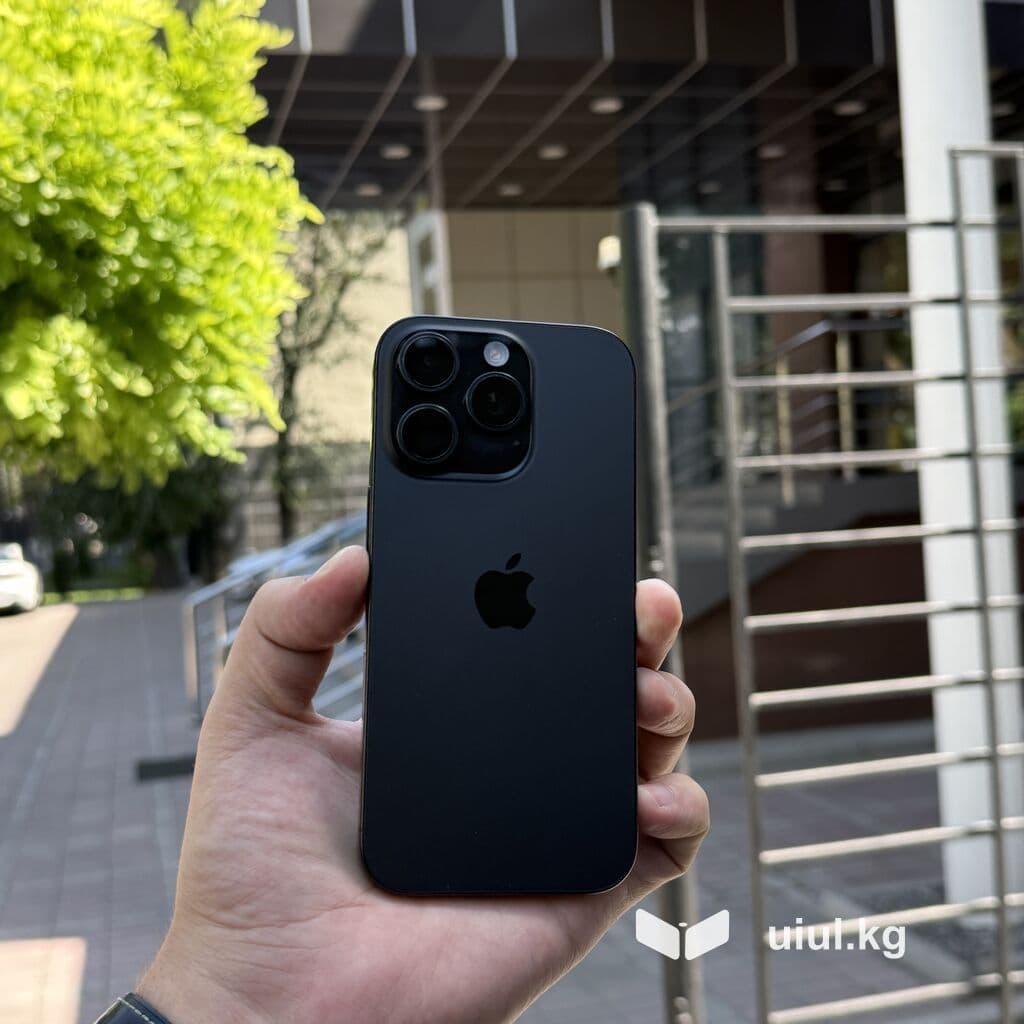 IPhone 16 Pro, Б/у, 256 ГБ, Black Titanium, Защитное стекло, 87 %