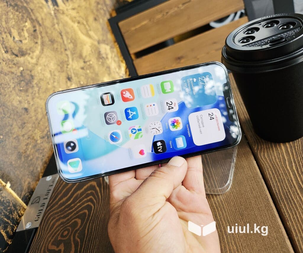 IPhone 12 Pro Max, Б/у, 256 ГБ, Pacific Blue, Чехол, 80 % 2 из 21