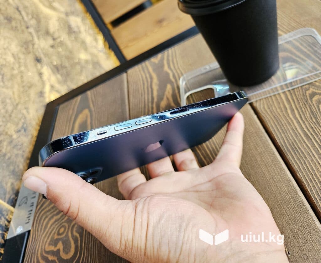 IPhone 12 Pro Max, Б/у, 256 ГБ, Pacific Blue, Чехол, 80 % 4 из 21