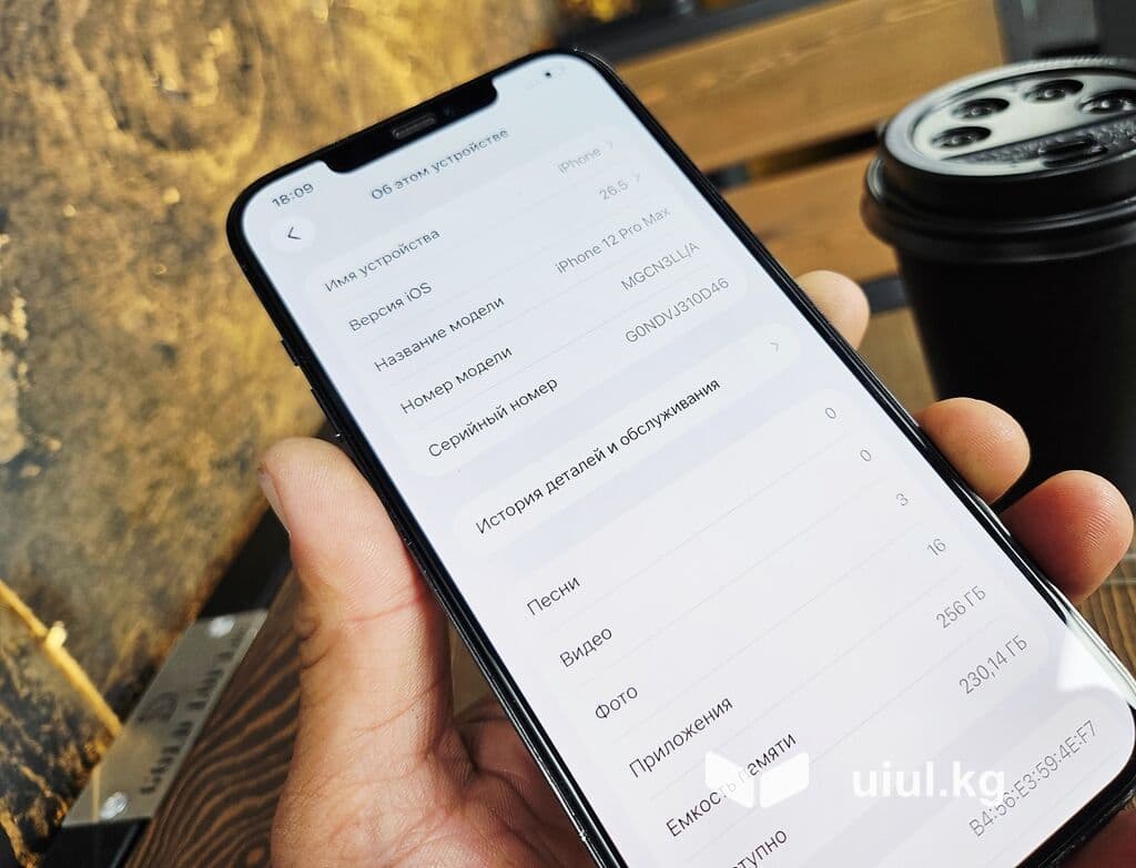 IPhone 12 Pro Max, Б/у, 256 ГБ, Pacific Blue, Чехол, 80 % 5 из 21