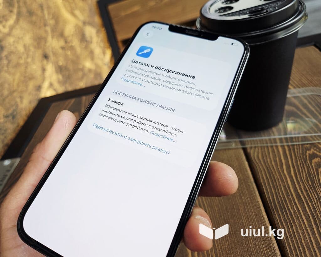 IPhone 12 Pro Max, Б/у, 256 ГБ, Pacific Blue, Чехол, 80 % 8 из 21