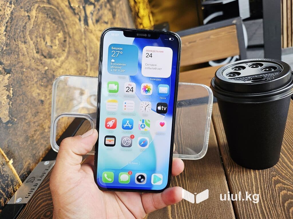 IPhone 12 Pro Max, Б/у, 256 ГБ, Pacific Blue, Чехол, 80 % 11 из 21