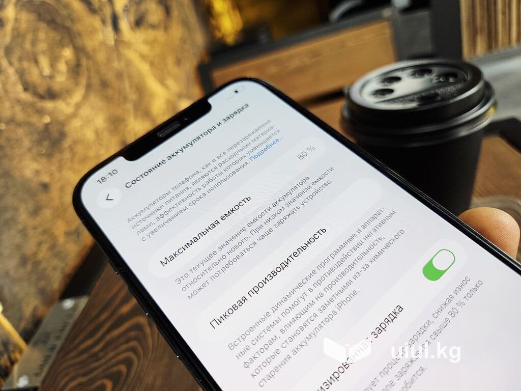 IPhone 12 Pro Max, Б/у, 256 ГБ, Pacific Blue, Чехол, 80 % 14 из 21