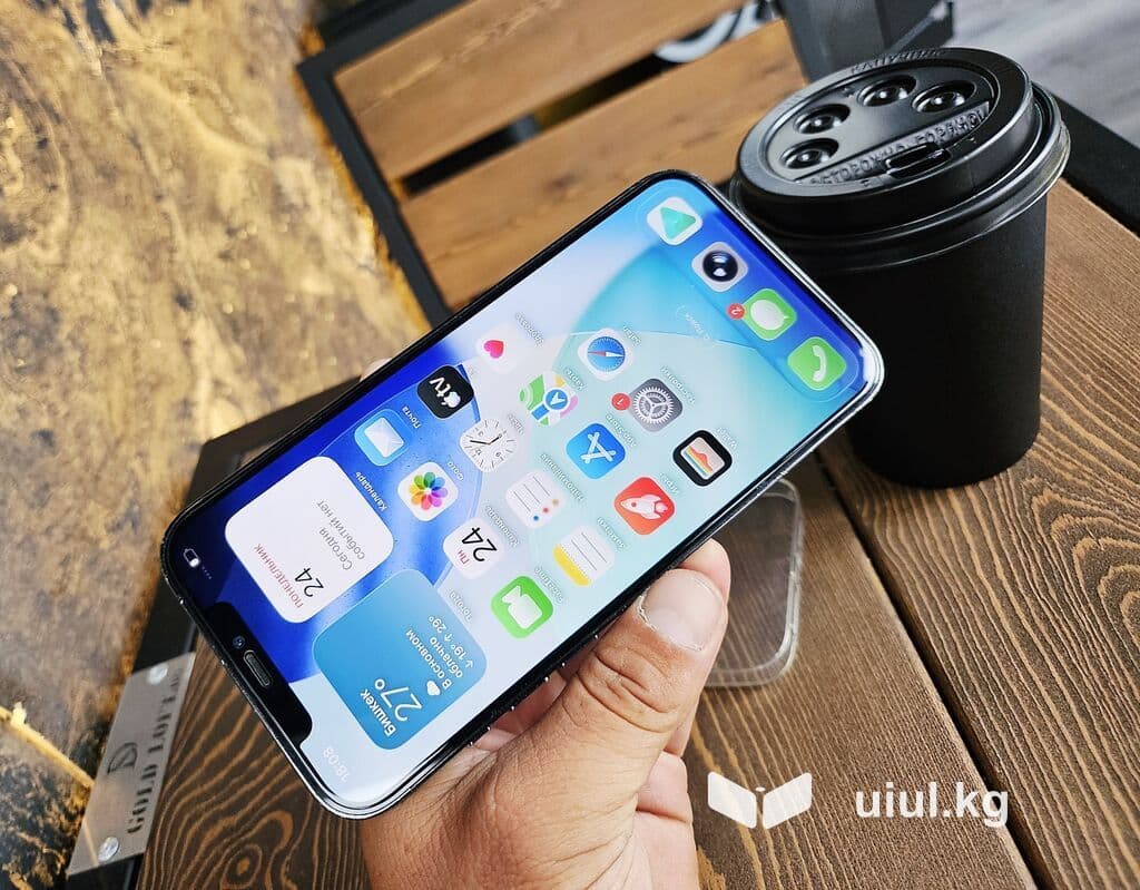IPhone 12 Pro Max, Б/у, 256 ГБ, Pacific Blue, Чехол, 80 % 15 из 21