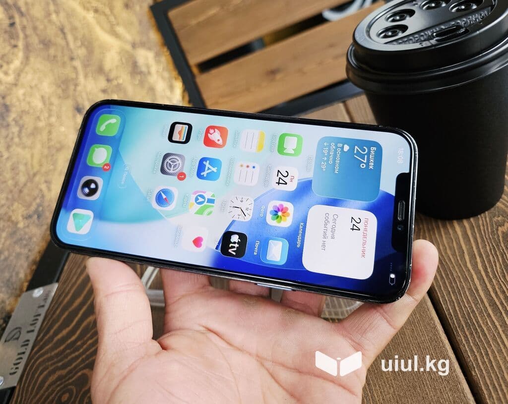 IPhone 12 Pro Max, Б/у, 256 ГБ, Pacific Blue, Чехол, 80 % 16 из 21