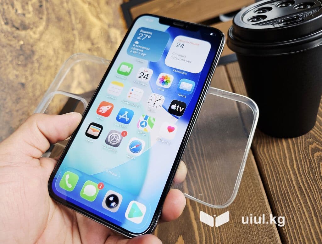 IPhone 12 Pro Max, Б/у, 256 ГБ, Pacific Blue, Чехол, 80 % 17 из 21