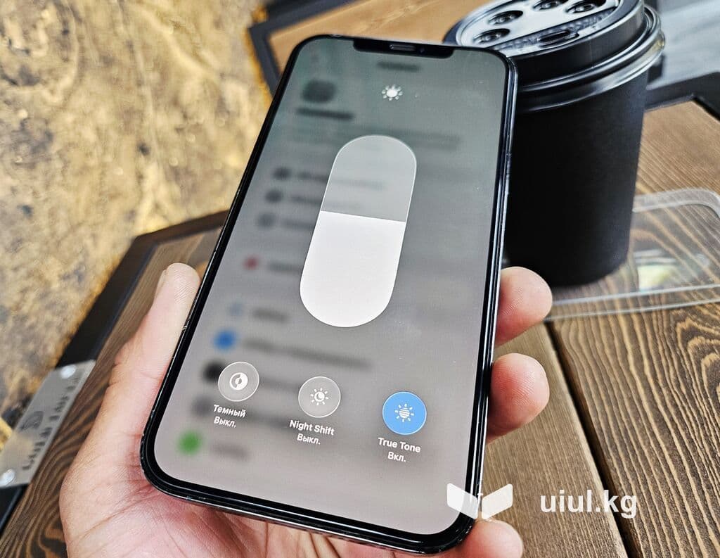 IPhone 12 Pro Max, Б/у, 256 ГБ, Pacific Blue, Чехол, 80 % 18 из 21