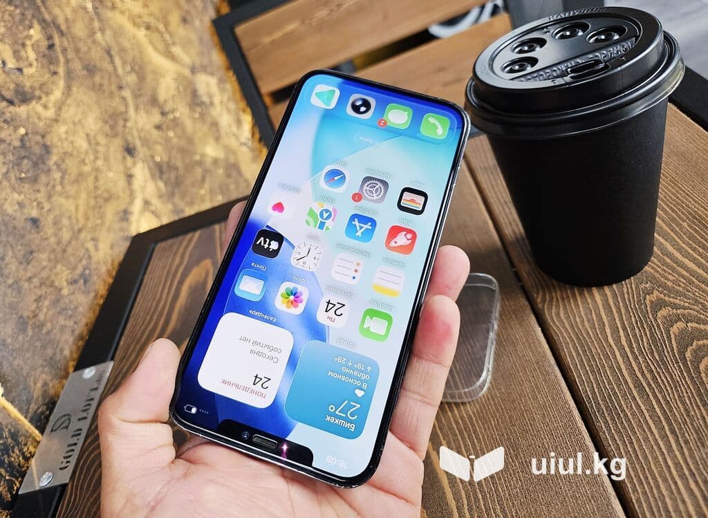 IPhone 12 Pro Max, Б/у, 256 ГБ, Pacific Blue, Чехол, 80 % 20 из 21