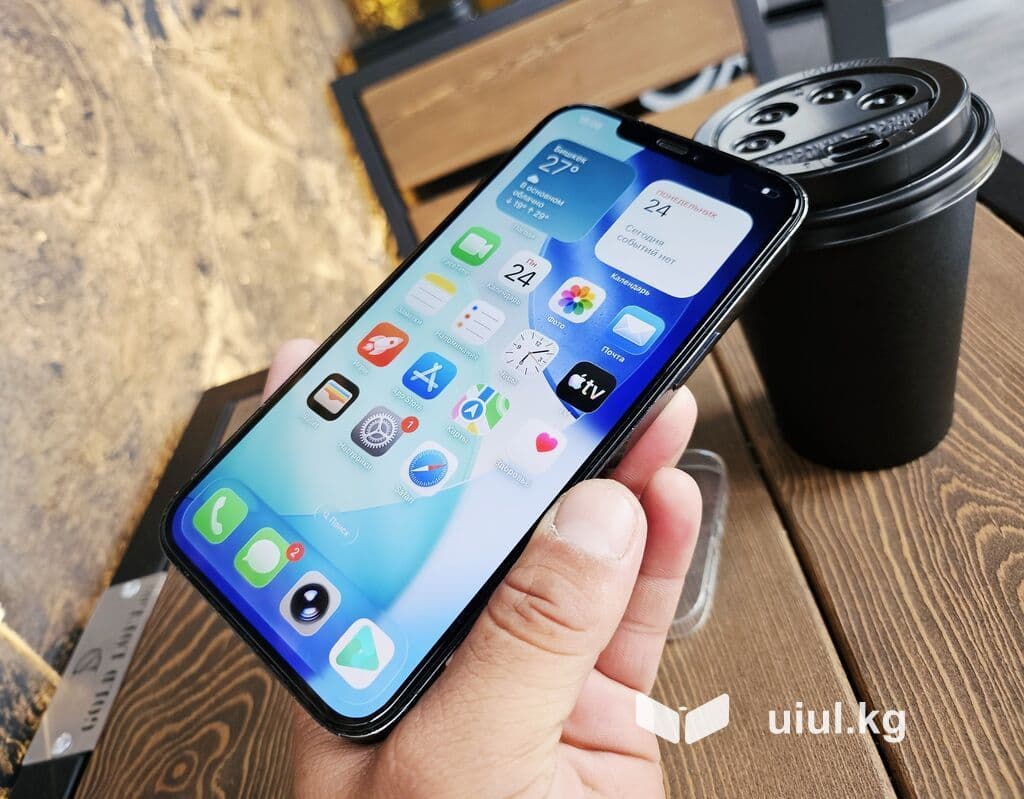 IPhone 12 Pro Max, Б/у, 256 ГБ, Pacific Blue, Чехол, 80 % 21 из 21