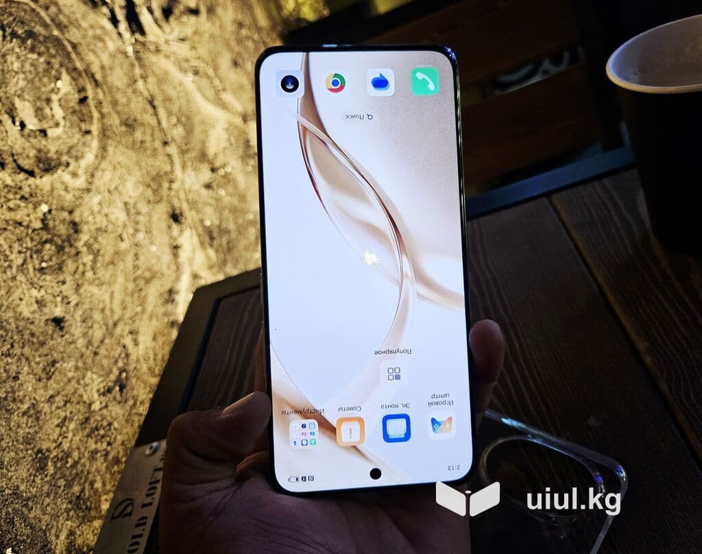 Honor 200 Pro, Б/у, 512 ГБ, цвет - Серый, 1 SIM, 2 SIM 9 из 15